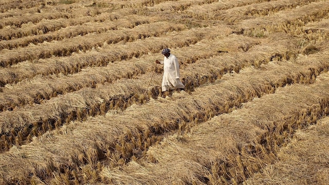Four-day Agri-Science Congress to discuss farming tech kicks off in Delhi today Four-day Agri-Science Congress to discuss farming tech kicks off in Delhi today