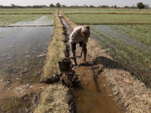 Narendra Modi flays Congress over 'lollipop' farm loan waiver, but data shows BJP’s assistance is also fiction Narendra Modi flays Congress over 'lollipop' farm loan waiver, but data shows BJP’s assistance is also fiction