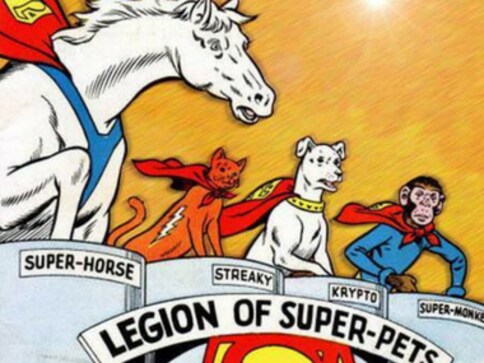 The LEGO Batman Movie writer Jared Stern likely to direct and write Super Pets for Warner Bros. The LEGO Batman Movie writer Jared Stern likely to direct and write Super Pets for Warner Bros.