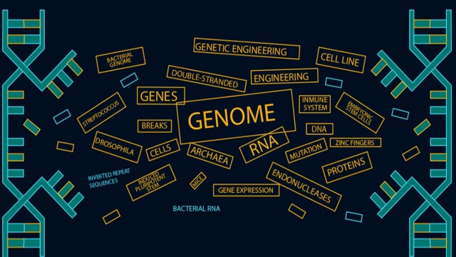 The slinky sister of CRISPR that 'skips' over regions in DNA that cause disease