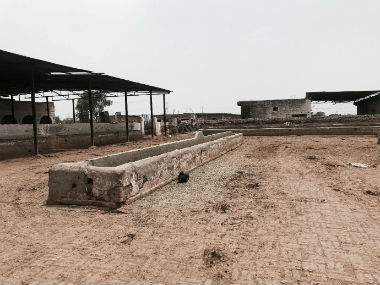 There is a need to re-model state-funded cow shelters with adequate space to quarantine sick cows and have multiple feeding areas.