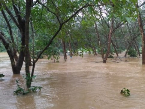 Half of Kerala reels under floods as death toll rises to 29, over 53,000 people left homeless Half of Kerala reels under floods as death toll rises to 29, over 53,000 people left homeless