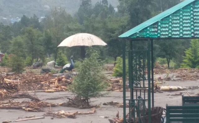 Following heavy and incessant rainfall, the Babeli Nature Park in Kullu was also affected. Image courtesy: Twitter/@ANI Following heavy and incessant rainfall, the Babeli Nature Park in Kullu was also affected. Image courtesy: Twitter/@ANI