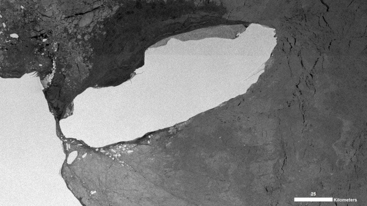 An image of the A68 iceberg as of 12th August, 2018 taking with the Sentinel-1 Copernicus Satellite. Image courtesy: GovBAT/Twitter