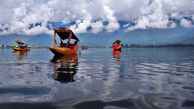 Dal Lake in Kashmir harbours bacteria that can degrade pesticides, study finds Dal Lake in Kashmir harbours bacteria that can degrade pesticides, study finds