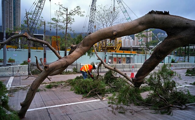 Hong Kong began a massive clean-up on Monday after Typhoon Mangkhut raked the city, shredding trees and bringing damaging floods. The government described the damage as "severe and extensive" with more than 300 people injured. AP Hong Kong began a massive clean-up on Monday after Typhoon Mangkhut raked the city, shredding trees and bringing damaging floods. The government described the damage as "severe and extensive" with more than 300 people injured. AP