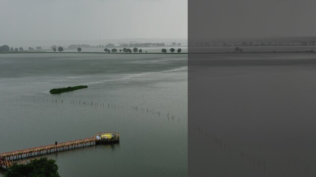 Kolkata wetlands: Real estate chokes a unique ecosystem Kolkata wetlands: Real estate chokes a unique ecosystem