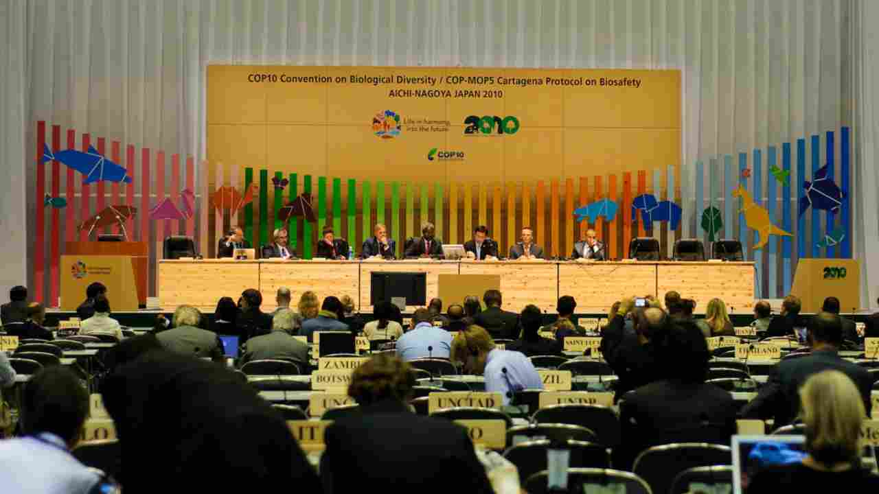 An image from the plenary session of COP10 Convention on Biodiversity in Japan 2010. Image courtesy: Haja Rasambainarivo/Flickr
