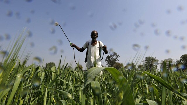 From locusts to fires: UN warns of growing threats to food systems, livelihoods in agriculture From locusts to fires: UN warns of growing threats to food systems, livelihoods in agriculture