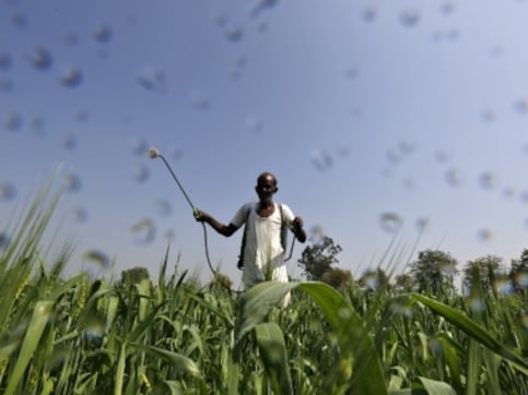 Rural distress: Loan waiver is no panacea; govt should dilute monopoly of APMCs for marketing of agricultural produce Rural distress: Loan waiver is no panacea; govt should dilute monopoly of APMCs for marketing of agricultural produce