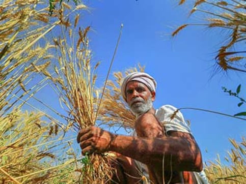 Cabinet may announce relief package for farmers before interim budget; plan includes waiving premium for crop insurance Cabinet may announce relief package for farmers before interim budget; plan includes waiving premium for crop insurance