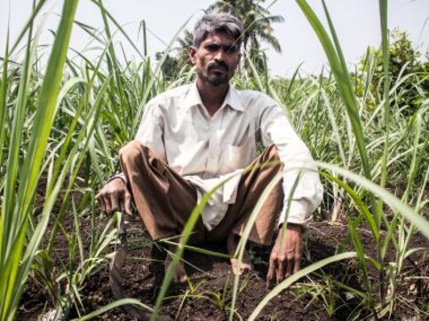 In Maharashtra's Ambap village, a couple with polio defied odds to set up a model farm In Maharashtra's Ambap village, a couple with polio defied odds to set up a model farm