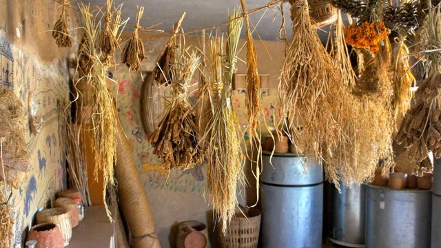 Assam students set up seed bank to help rice farmers preserve indigenous varieties Assam students set up seed bank to help rice farmers preserve indigenous varieties