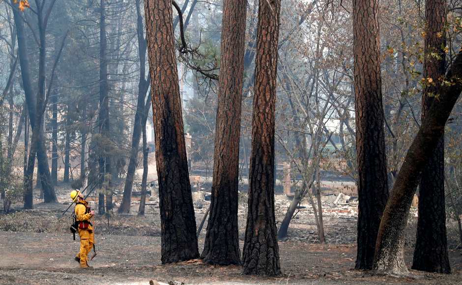 Firefighters surveyed the areas and trees damaged by the blaze. The 'Camp Fire' devastated the mountain town of Paradise. Reuters Firefighters surveyed the areas and trees damaged by the blaze. The 'Camp Fire' devastated the mountain town of Paradise. Reuters