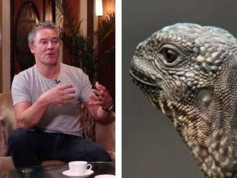 Jonny Keeling, a veteran of BBC’s Natural History Unit, talks about what it takes to capture the magic of wildlife Jonny Keeling, a veteran of BBC’s Natural History Unit, talks about what it takes to capture the magic of wildlife
