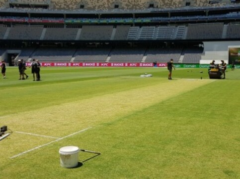 India vs Australia: Perth curator unveils green wicket; says he's trying to produce 'bounciest wicket he can' India vs Australia: Perth curator unveils green wicket; says he's trying to produce 'bounciest wicket he can'