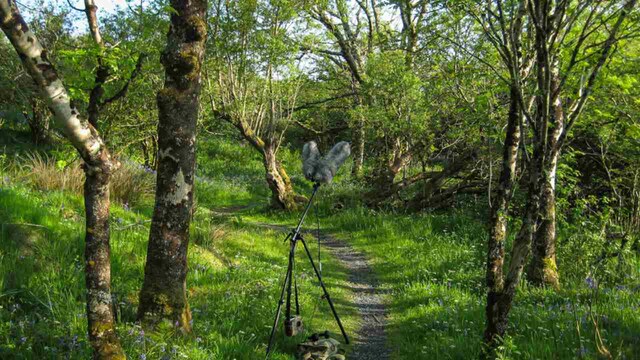 Listening to nature: How sound can help us understand environmental change Listening to nature: How sound can help us understand environmental change