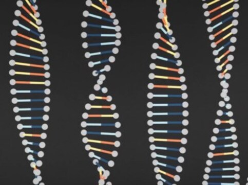 A deep dive into the gene pool to understand epigenetics and epigenomics A deep dive into the gene pool to understand epigenetics and epigenomics