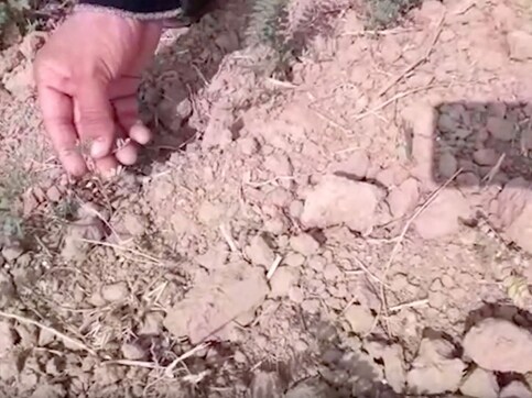 Soil pollution adds to farmers woes in Bundelkhand Soil pollution adds to farmers woes in Bundelkhand