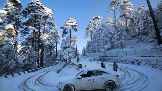 IMD issues orange alert in Himachal Pradesh for 12 Jan, predicts for heavy rain, snowfall in state from 11 to 14 Jan IMD issues orange alert in Himachal Pradesh for 12 Jan, predicts for heavy rain, snowfall in state from 11 to 14 Jan