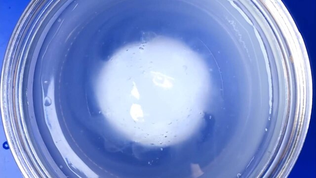 Squishy ingestible pill swells into ball that tracks stomach conditions for a month Squishy ingestible pill swells into ball that tracks stomach conditions for a month