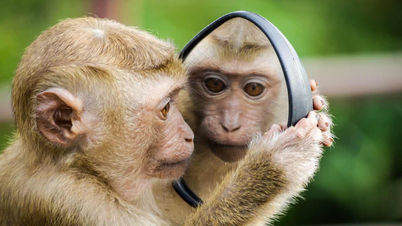 When's the last time you checked yourself out like this in a rear-view mirror? Image credit: Unsplash/Andre Mouton