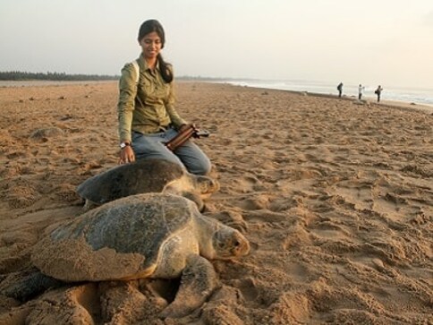Marine ecologist Divya Karnad, 2019 Future of Nature awardee, on working towards sustainable fishing
