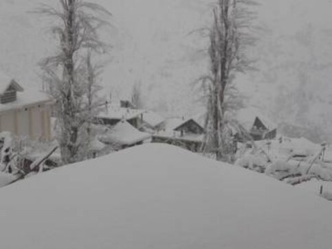 Cold wave in India: Fresh snowfall in Himachal Pradesh's Shimla disrupts efforts to clear roads; avalanche reported in J&K's Kulgam Cold wave in India: Fresh snowfall in Himachal Pradesh's Shimla disrupts efforts to clear roads; avalanche reported in J&K's Kulgam