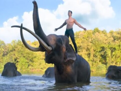 Vidyut's best action outing with Junglee Vidyut's best action outing with Junglee