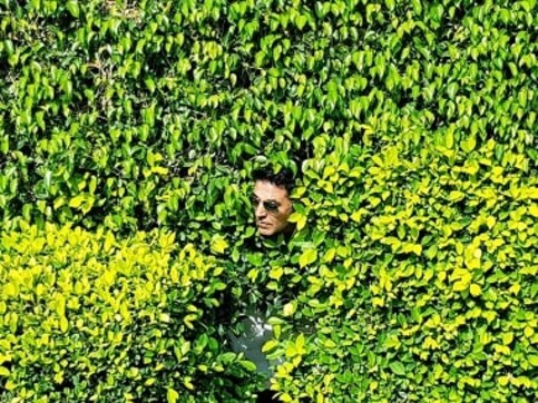 Kesari: Akshay Kumar's hiding-in-the-bushes photo draws funny Twitter reactions; netizens compare it to Simpsons GIF Kesari: Akshay Kumar's hiding-in-the-bushes photo draws funny Twitter reactions; netizens compare it to Simpsons GIF