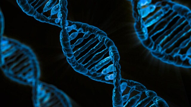 First lawful human trials for CRISPR in treating inherited blindness now underway First lawful human trials for CRISPR in treating inherited blindness now underway