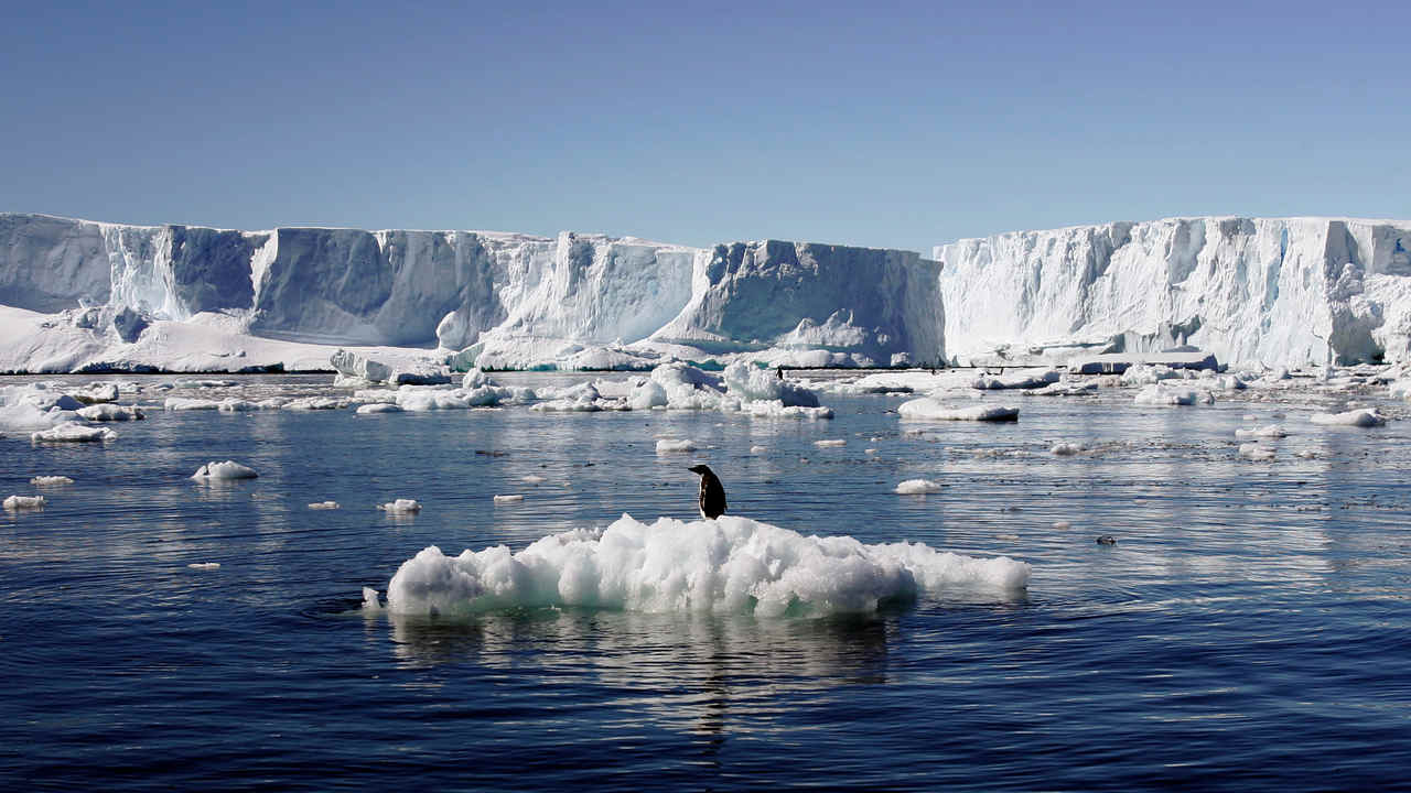  Third of Antarctic ice shelf at risk of collapsing due to global warming
