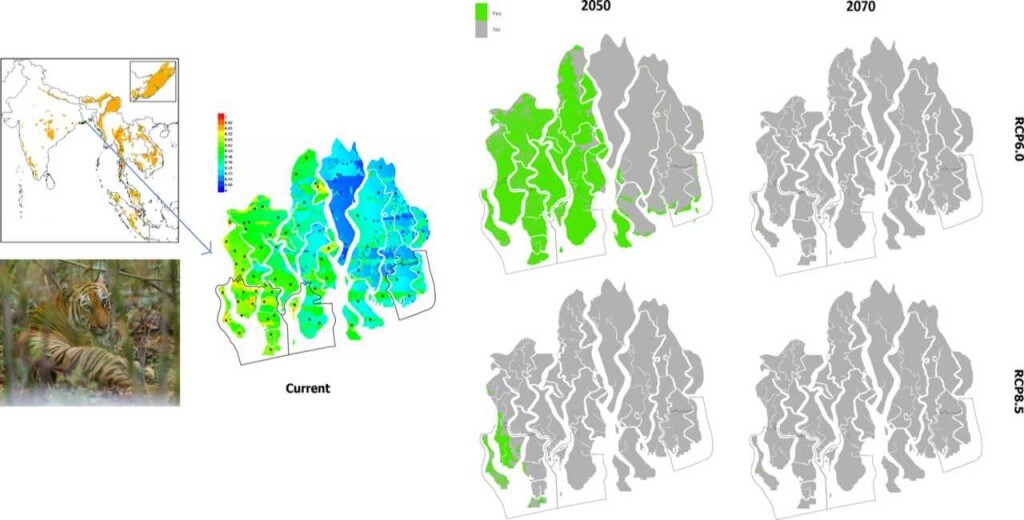 Habitat loss in the Sunderbans is a serious, immediate threat. Image credit: Elsevier/Laurance et al