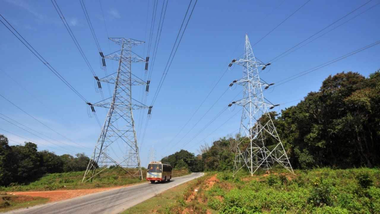 Roads and powerlines running through forests. Image courest: National Conservation Foundation