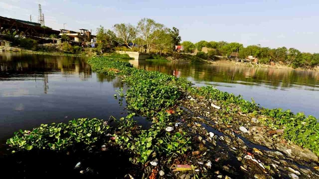 Yamuna is choking from a mix of illegal encroachment, farming, elections: Report Yamuna is choking from a mix of illegal encroachment, farming, elections: Report