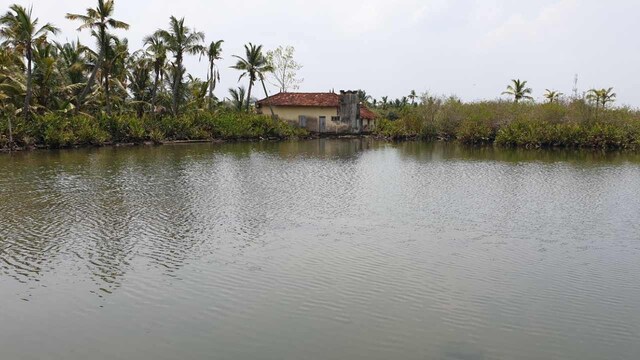 Kerala’s growing climate change crisis gets left behind in election, poll rhetoric Kerala’s growing climate change crisis gets left behind in election, poll rhetoric