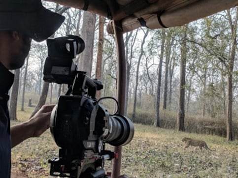 Wild Karnataka: Indian documentary narrated by David Attenborough puts state’s biodiversity on global map Wild Karnataka: Indian documentary narrated by David Attenborough puts state’s biodiversity on global map