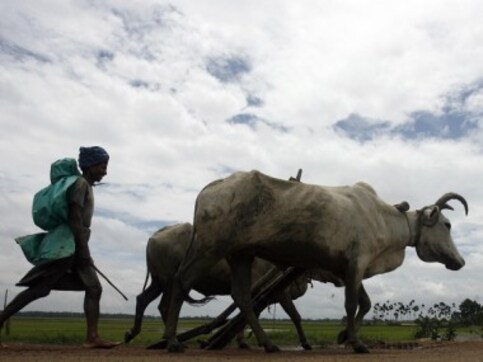 IMD’s ‘good news’ for farmers vs Skymet’s warning of deficient rains: Who will get the weather forecast right this year? IMD’s ‘good news’ for farmers vs Skymet’s warning of deficient rains: Who will get the weather forecast right this year?