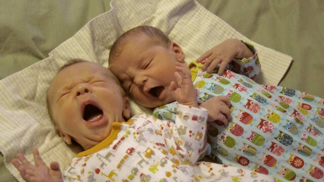 Contagious yawning, empathy may have evolved from human need to understand others Contagious yawning, empathy may have evolved from human need to understand others