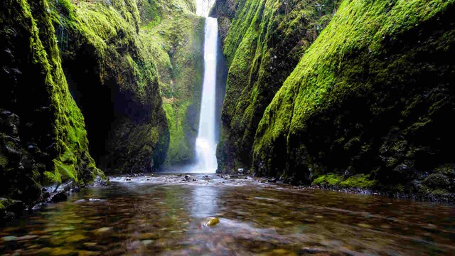 UN holds first global study of nature and human race: 100,000 species on path to extinction UN holds first global study of nature and human race: 100,000 species on path to extinction