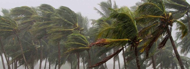 Cyclone drill nailed, firm up other defences Cyclone drill nailed, firm up other defences