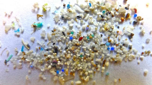 Microplastic pollution on seashore linked to population size of coastal cities Microplastic pollution on seashore linked to population size of coastal cities