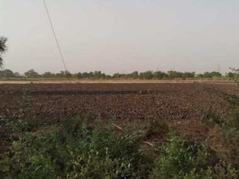 Gujarat farmers, stung by poor compensation for PM's pet projects, are fighting state govt in court Gujarat farmers, stung by poor compensation for PM's pet projects, are fighting state govt in court