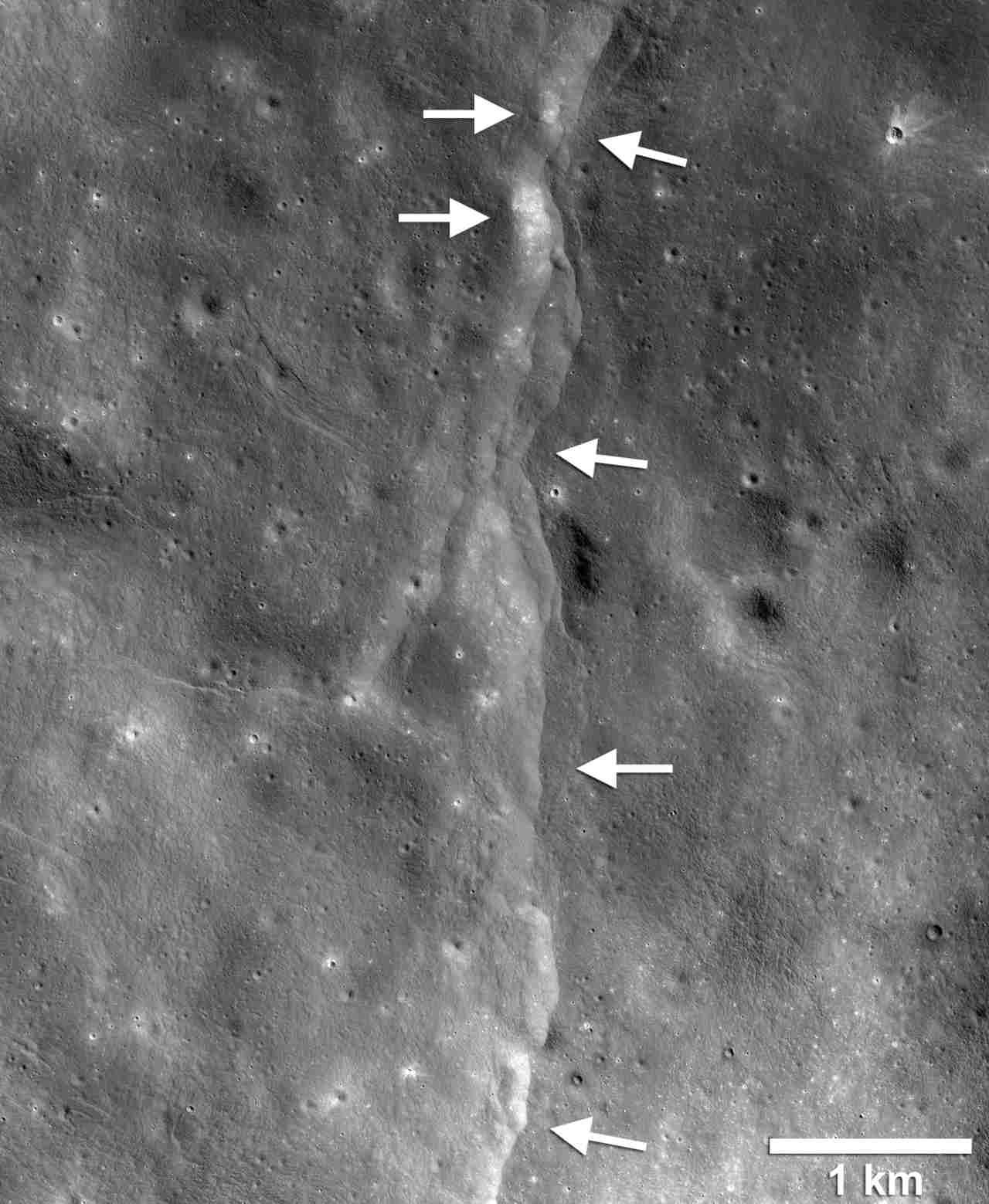 This prominent thrust fault is one of thousands discovered in images by the NASA Lunar Reconnaissance Orbiter Camera (LROC). The fault scarp or cliff is like a stair-step in the lunar landscape, formed when the near-surface crust is pushed together, breaks, and is thrust upward along a fault as the Moon contracts. Image: NASA/LROC