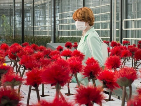 Little Joe review: Jessica Hausner's horticultural thriller updates Invasion of the Body Snatchers to our fake happy era Little Joe review: Jessica Hausner's horticultural thriller updates Invasion of the Body Snatchers to our fake happy era