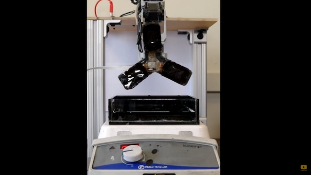 Scientists have developed a robotic arm that can taste for chemicals using bacteria Scientists have developed a robotic arm that can taste for chemicals using bacteria