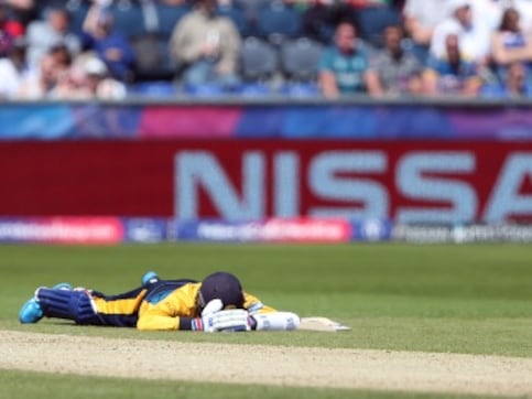 Sri Lanka vs South Africa, ICC Cricket World Cup 2019: Bee attack halts play as players, umpires hit the deck Sri Lanka vs South Africa, ICC Cricket World Cup 2019: Bee attack halts play as players, umpires hit the deck
