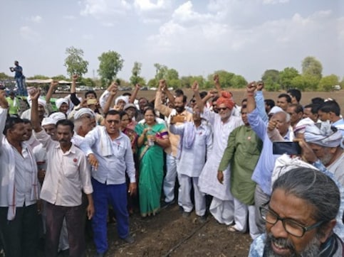 Maharashtra farmers' group agitates for 'freeing' GM seeds, but illegal varieties are rampant in India Maharashtra farmers' group agitates for 'freeing' GM seeds, but illegal varieties are rampant in India