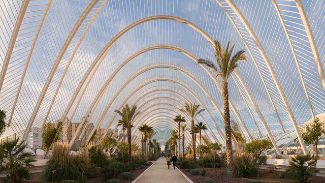 Farmers replace the pesticides with insects to protect crops in Spain's Sea of Plastic Farmers replace the pesticides with insects to protect crops in Spain's Sea of Plastic