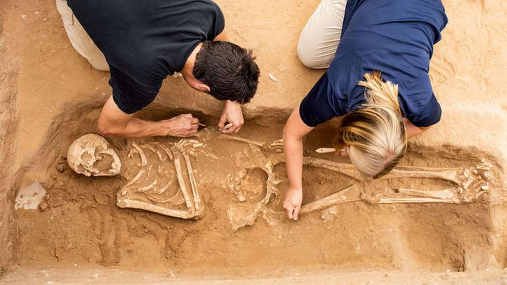 skeletons excavated at the ancient city of Ashkelon in present-day Israel suggest that the Philistines came from southern Europe. MELISSA AJA/COURTESY LEON LEVY EXPEDITION TO ASHKELON